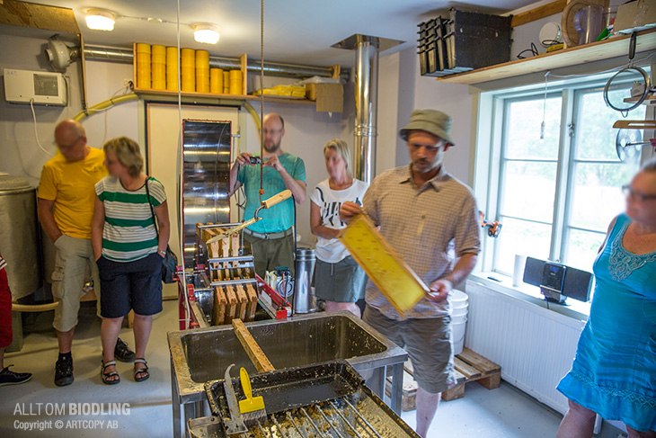 Öppet Hus - Lungnets-Bigårdar